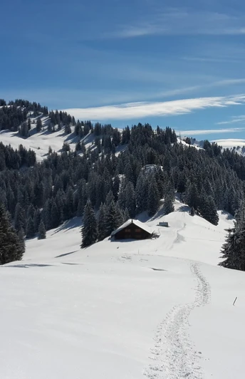 Schneeschuhwandern Illgau