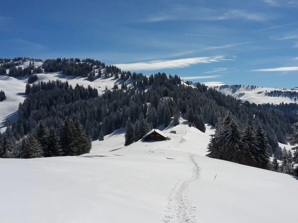 Schneeschuhwandern Illgau