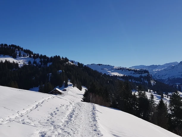Schneeschuhwandern Illgau
