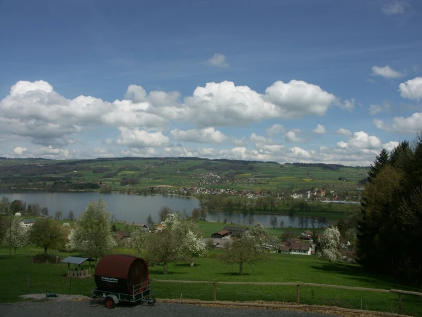Aussicht auf den Baldeggersee
