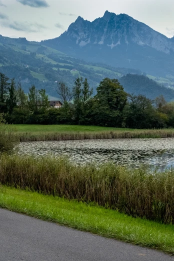Idyllischer Lauerzersee ...
