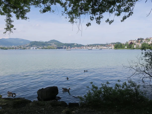Am See entlang