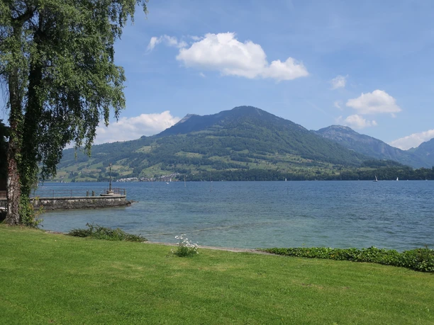 Aussicht vom Ufer in Meggen