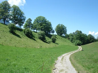 Wanderweg Eigenthal - Lifelen - Eigenthal
