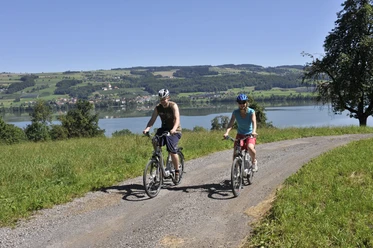 oberhalb vom Baldeggersee