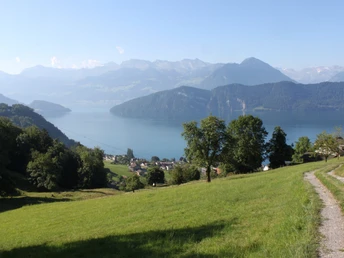 Sicht auf den Vierwaldstättersee von Tannenberg, Weggis