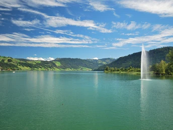 Ägerisee mit Fontäne
