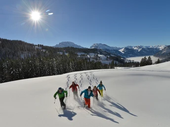 Schneeschuhtour Silberen
