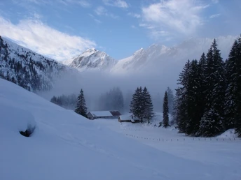 Geheimnisvolle Stimmung bei der Rinderweid