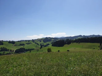 Aussicht bei der Mörisegg