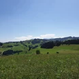 Aussicht bei der Mörisegg