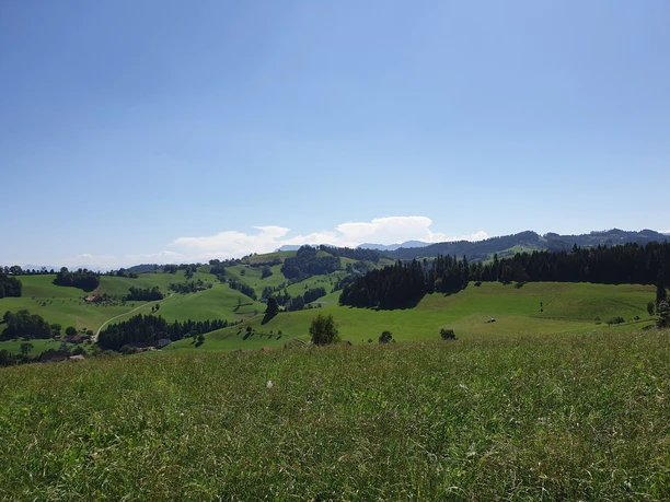 Aussicht bei der Mörisegg