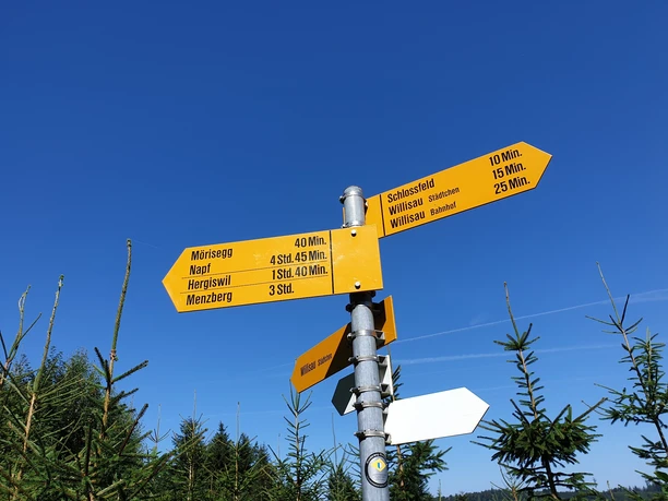 Wegweiser im Hirserewald oberhalb von Willisau