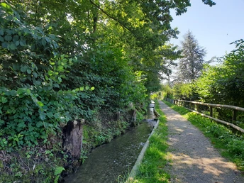 Am Mülibächli Willisau zurück in die Altstadt