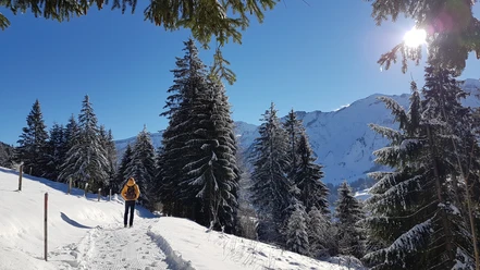 Aussichtsreiche Winterwanderung in Sörenberg