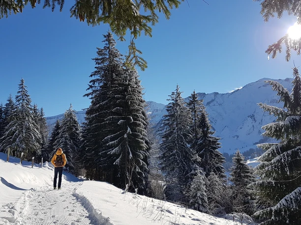 Aussichtsreiche Winterwanderung in Sörenberg