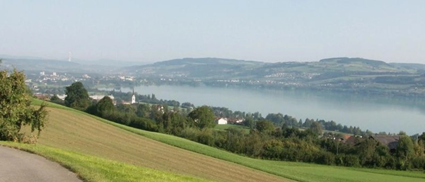 Aussicht auf den See
