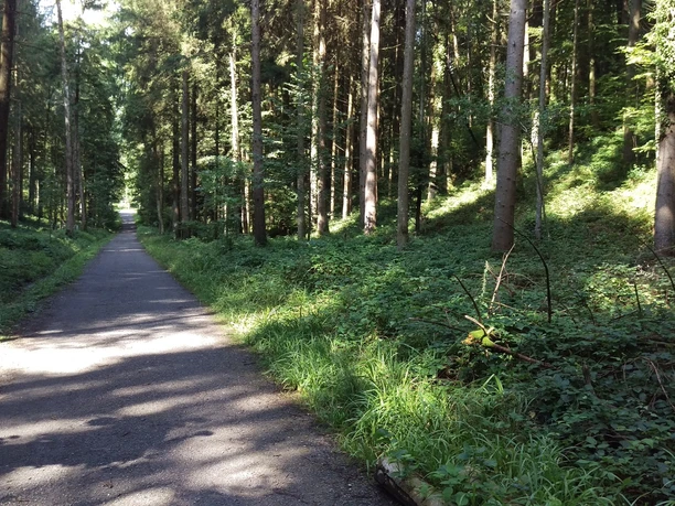 Gütschwald