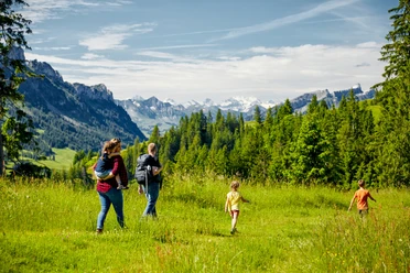 Wanderung von First Richtung Farnere