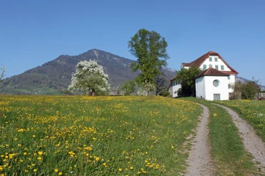 Brünnihof Weggis