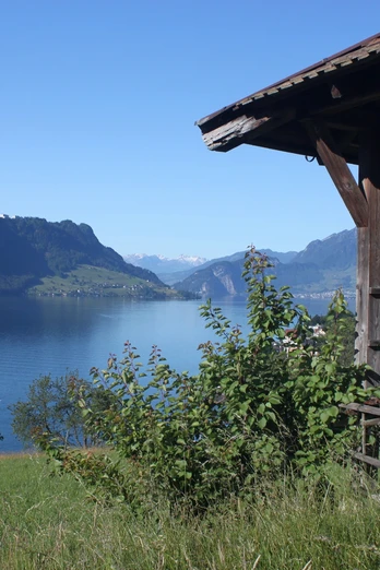 Aussicht auf Pilatus und Vierwaldstättersee