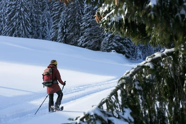 Schneeschuhlaufen in Sörenberg-Flühli