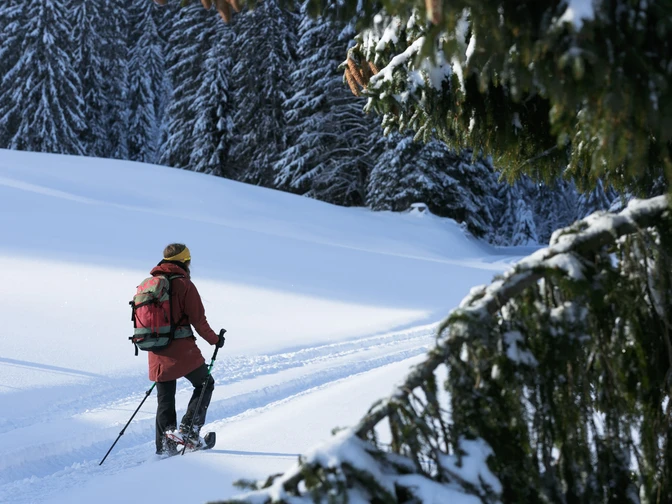 Schneeschuhlaufen in Sörenberg-Flühli