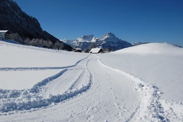 Langlaufen in Morschach