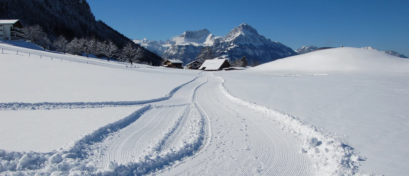 Langlaufen in Morschach