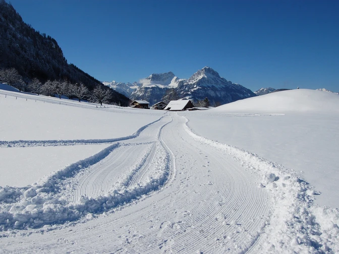 Langlaufen in Morschach