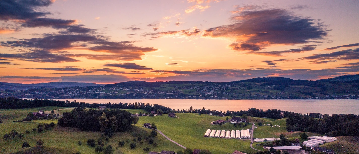 Blick auf den Küssnachterarm des Vierwaldstättersees