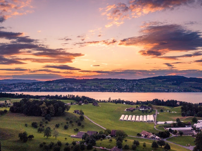 Blick auf den Küssnachterarm des Vierwaldstättersees