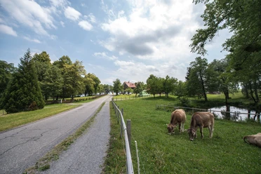 Seetal: Wandertipp Nr.1 Gelfingen - Horben - Baldegg