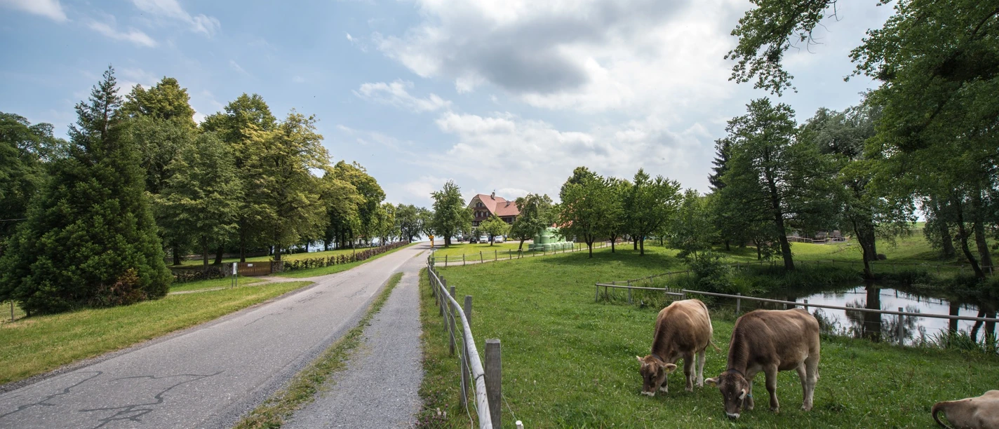 Seetal: Wandertipp Nr.1 Gelfingen - Horben - Baldegg
