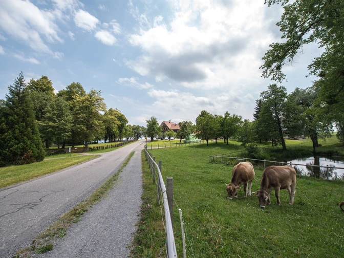 Seetal: Wandertipp Nr.1 Gelfingen - Horben - Baldegg