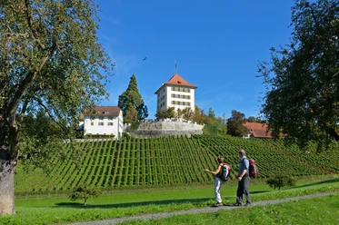 Schloss Heidegg