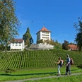 Schloss Heidegg