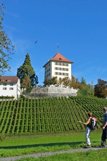 Schloss Heidegg
