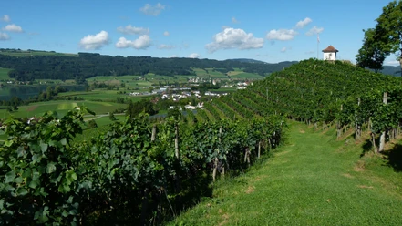 Seetal: Wandertipp Nr.3 Hitzkirch - Horben - Lieli - Hitzkirch