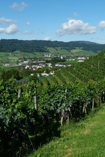 Seetal: Wandertipp Nr.3 Hitzkirch - Horben - Lieli - Hitzkirch