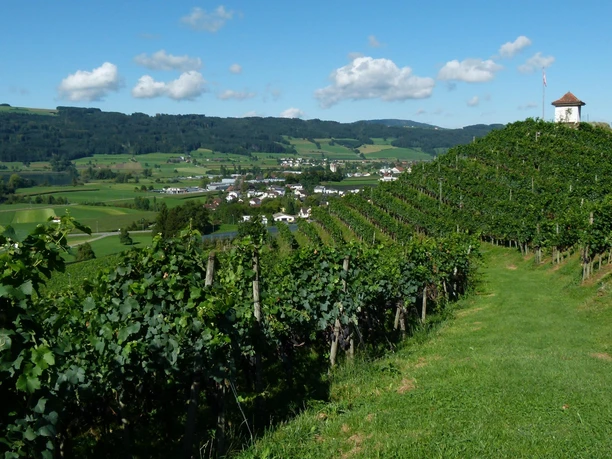 Seetal: Wandertipp Nr.3 Hitzkirch - Horben - Lieli - Hitzkirch