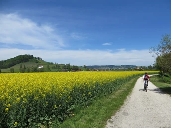 Zwischen Willisau und Alberswil, mit St. Blasius Kapelle und Burg Kastelen