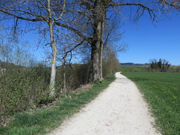 Entlang der Wigger zwischen Alberswil und Schötz
