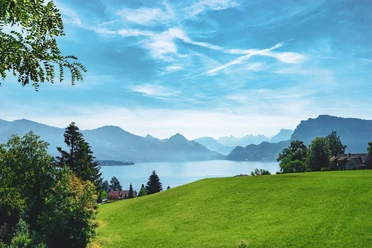 Aussicht vom Bireggwald Luzern