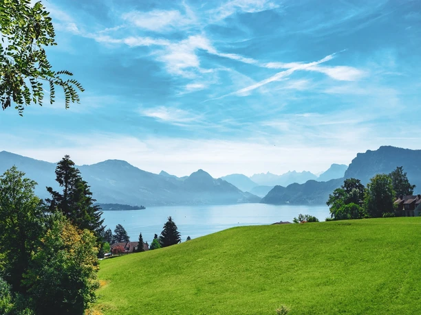 Aussicht vom Bireggwald Luzern