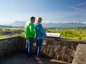 Alpenzeiger bei der Kommende Hohenrain