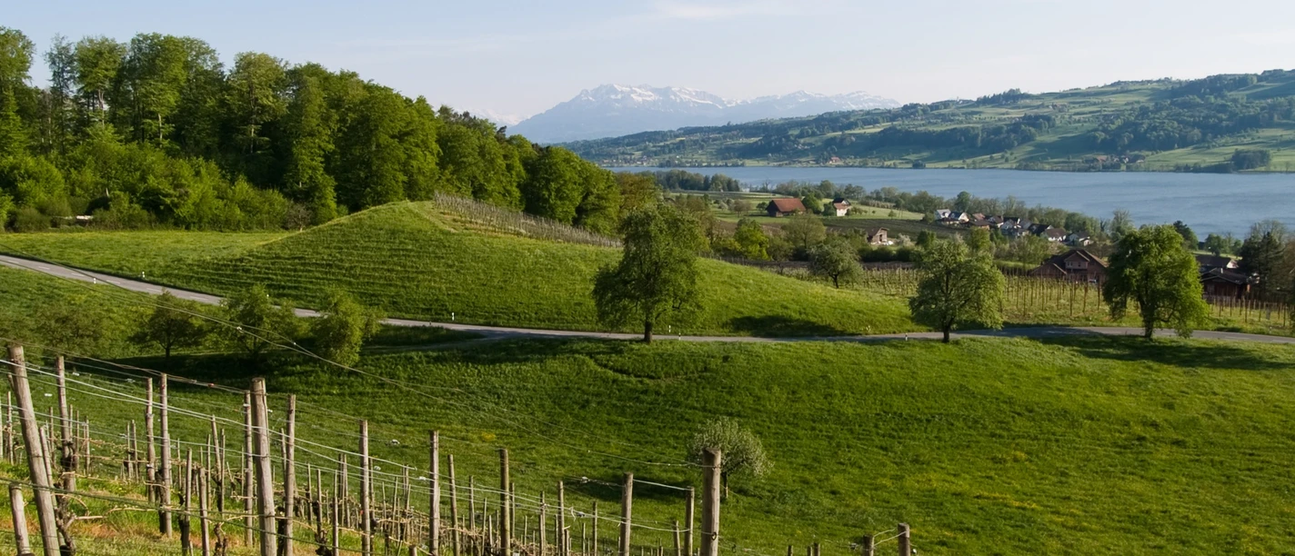 Seetal: Wandertipp Nr.14 Ballwil - Schloss Heidegg - Gelfingen