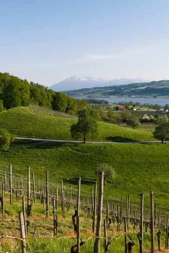 Seetal: Wandertipp Nr.14 Ballwil - Schloss Heidegg - Gelfingen