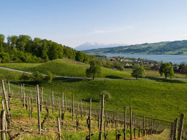 Seetal: Wandertipp Nr.14 Ballwil - Schloss Heidegg - Gelfingen