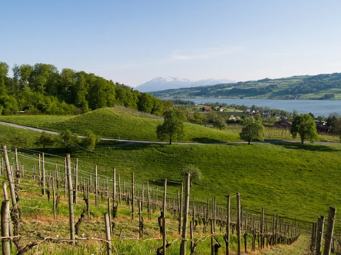 Seetal: Wandertipp Nr.14 Ballwil - Schloss Heidegg - Gelfingen